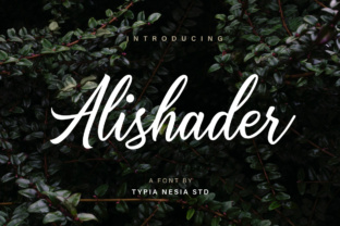 Alishader: A Stylish Calligraphy Font for Modern Design