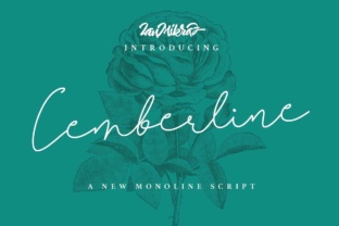 Discover Cemberline: A Flowy and Minimal Script Typeface