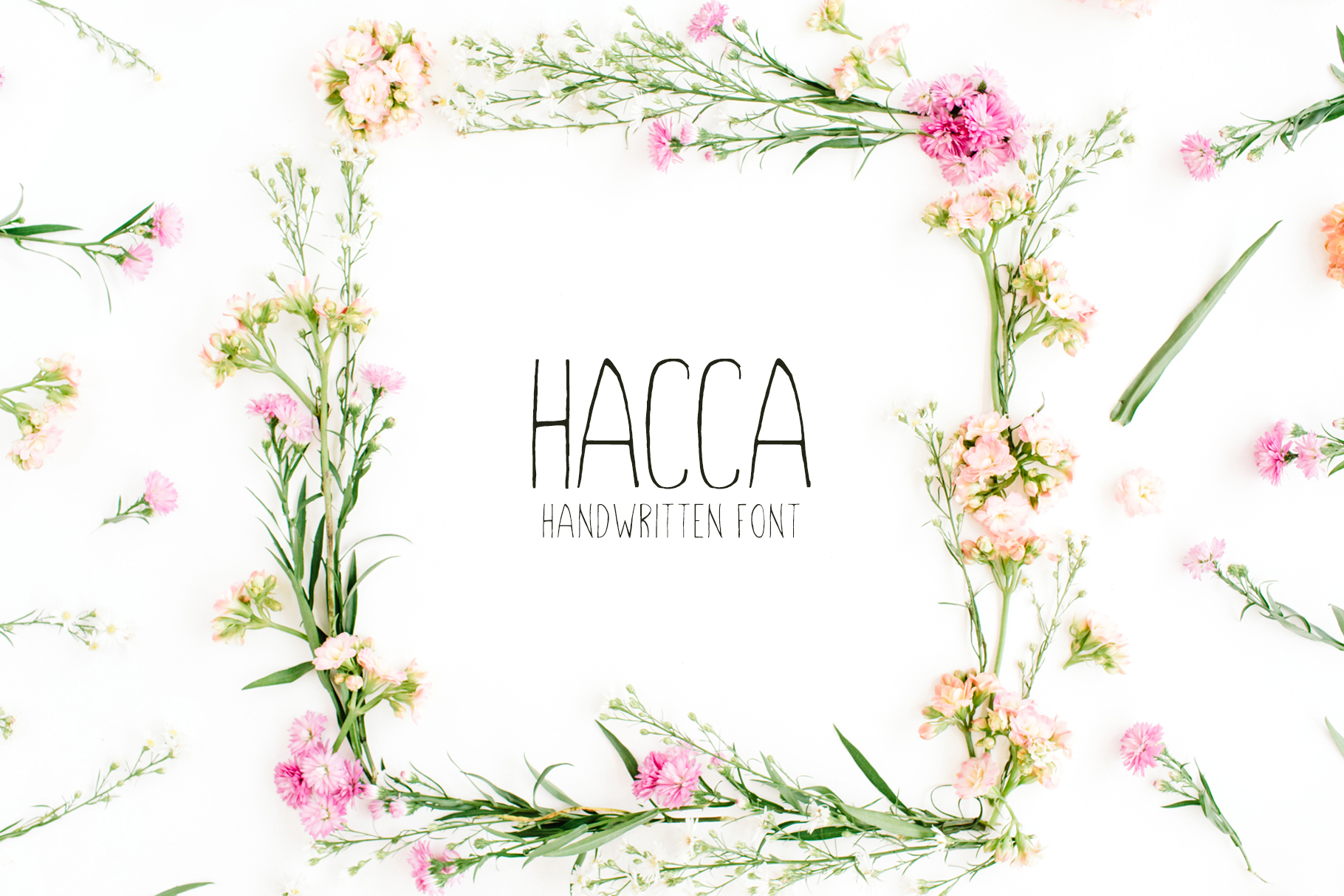 Discover the Charm of Hacca: A Versatile Sans Serif Font