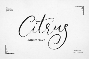 Discover the Elegance of Citrus: A Handwritten Script Font