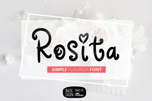 Enhance Your Web Design with Rosita Font