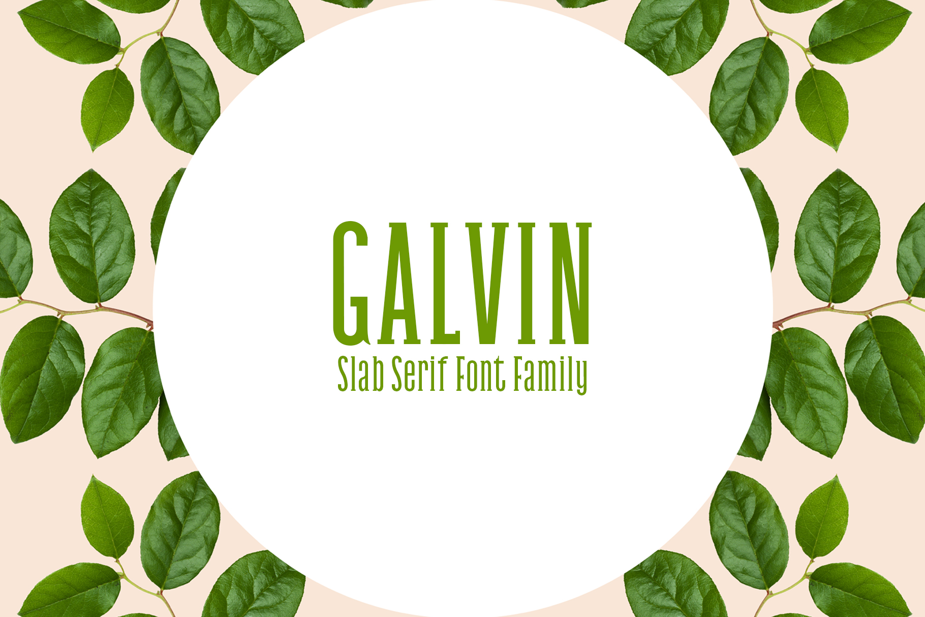 Galvin Family Pack: A Versatile Slab Serif for Modern Publishing