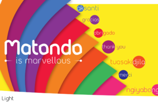 Matondo Light: Elevate Your Campaigns with Elegance