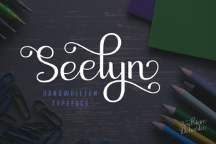 Seelyn: A Beautiful Script Handwritten Font for Web Design